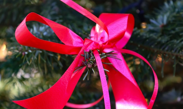 Bella e colorata decorazione natalizia