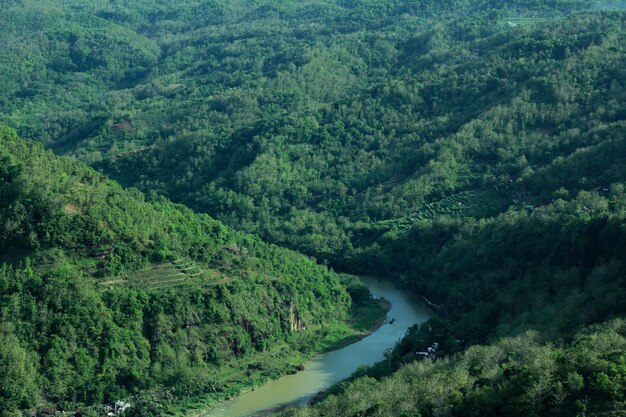 Bella e meravigliosa foresta verde con fiume in Indonesia Yogyakarta, Kebun Buah Mangunan