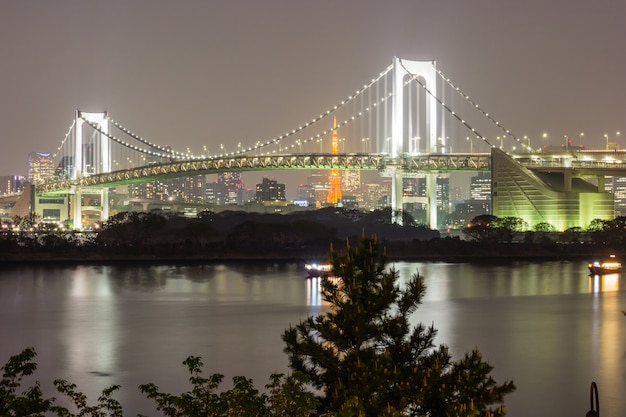 Bella e notte vista della baia di Tokyo, Rainbow bridge e Tokyo Tower landmark, Odaiba, Ja