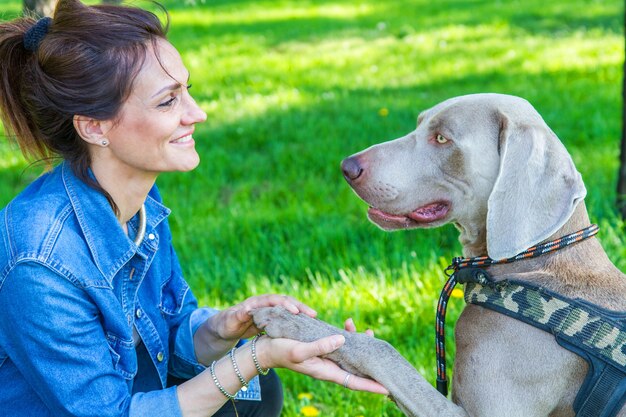 Bella e sorridente si sta rilassando al parco con il suo bellissimo cane weimaraner