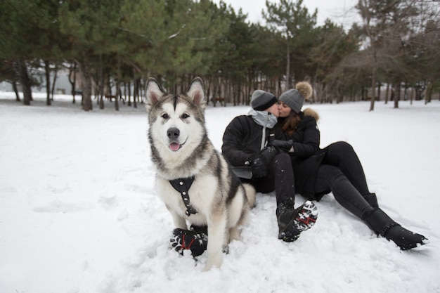 Bella famiglia, un uomo e una ragazza nella foresta invernale con il cane. Gioca con il cane husky siberiano.