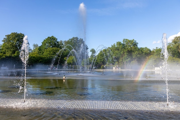 bella fontana nel parco cittadino