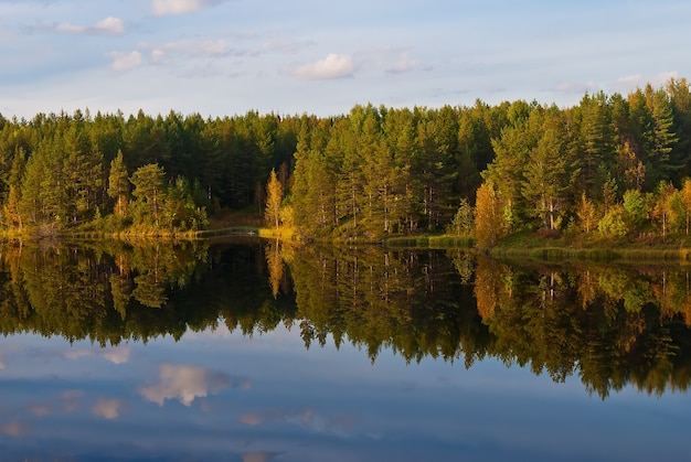 Bella foresta d&#39;autunno