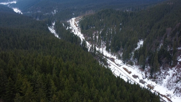 Bella foresta di legno in montagna. vino. ripresa aerea del drone