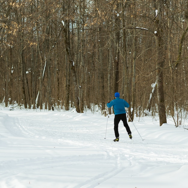 Bella foresta invernale e sciatore in un abito blu.