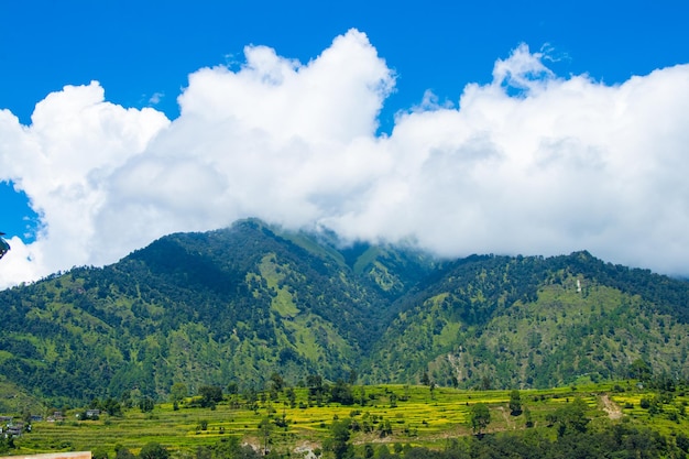 Bella foresta verde e fiume dell'Himalaya Nepal durante il monsone