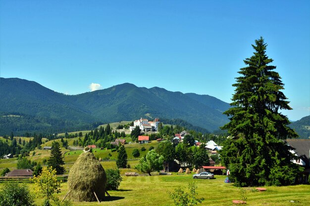 Bella foto di case in un paesaggio montuoso coperto di alberi nel passo di Tihuta, in Romania