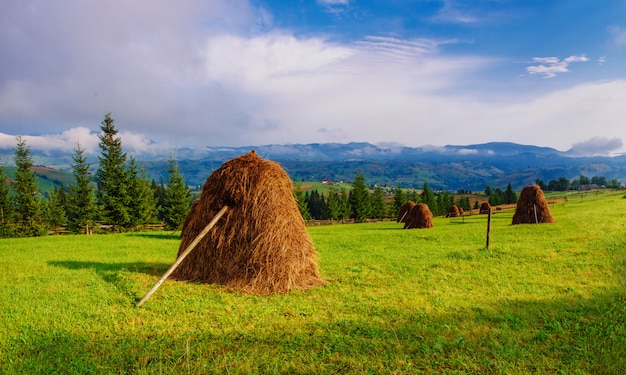 Bella giornata di sole è nel paesaggio montano.