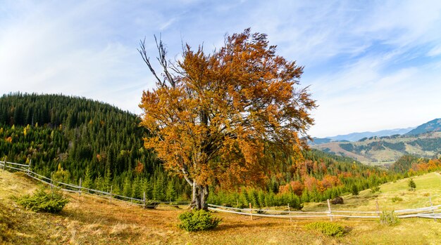 Bella giornata di sole è nel paesaggio montano