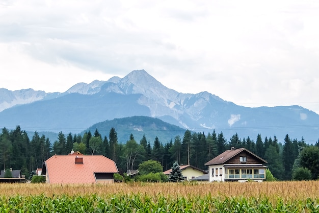 Bella giornata di sole nelle Alpi austriache Campo verde e case di campagna con montagne sullo sfondo