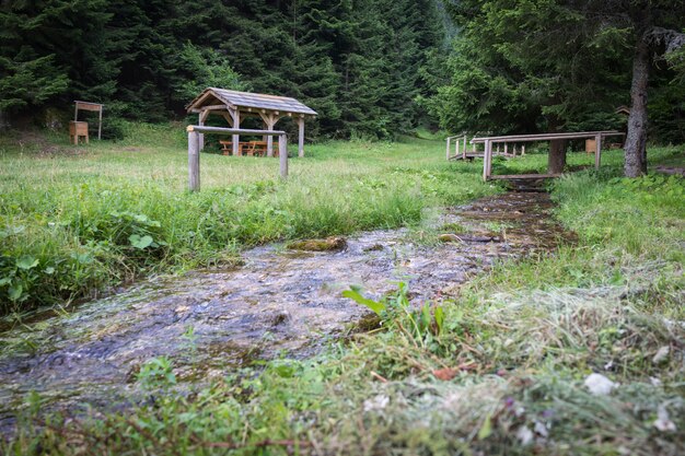 Bella giornata per le vacanze nella natura