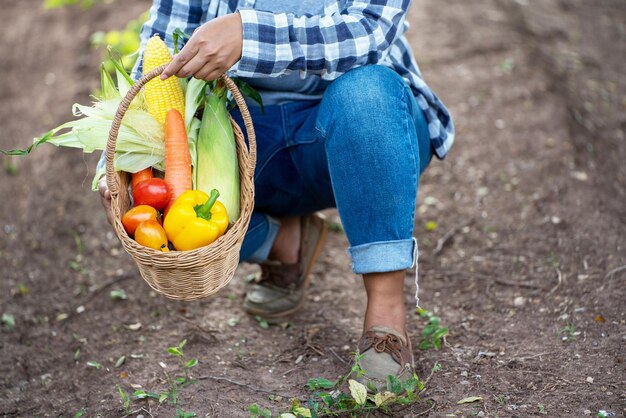 Bella giovane bruna Ritratto Famer Woman mano che tiene le verdure nel cesto di bambù su verde