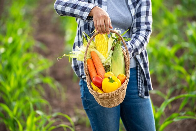 Bella giovane bruna Ritratto Famer Woman mano che tiene le verdure nel cesto di bambù su verde