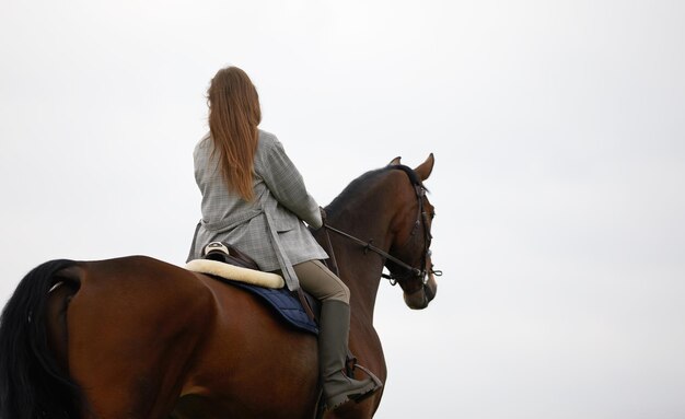 Bella giovane donna a cavallo sul campo Lateralmente alla fotocamera Movimento di gioia di libertà