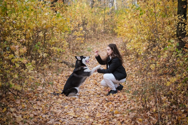 Bella giovane donna cammina con un cane husky siberiano in un bellissimo parco autunnale con fogliame giallo