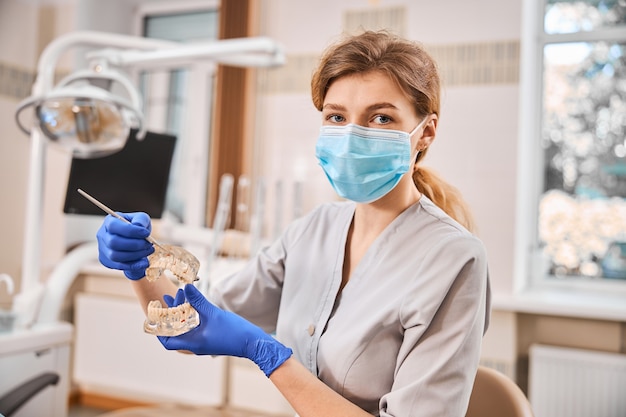 Bella giovane donna che indossa una maschera medica e tiene il modello dei denti mentre guarda la telecamera