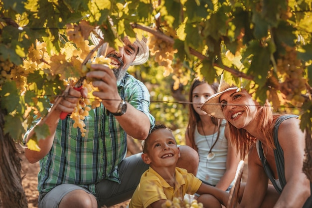 Bella giovane famiglia sorridente di quattro uve da taglio in una vigna.