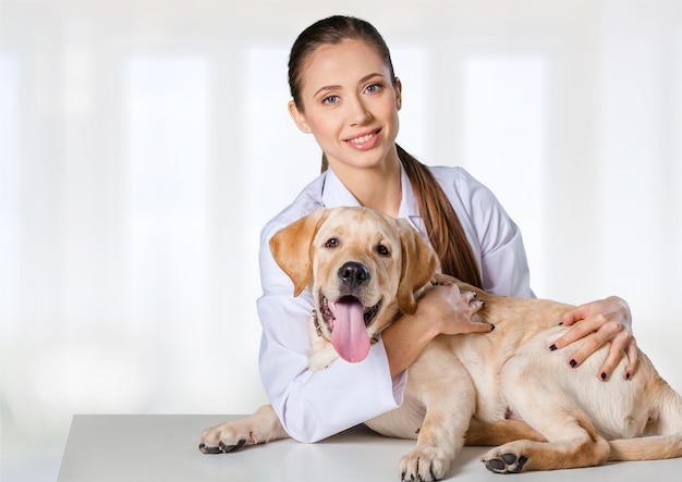 Bella giovane veterinaria con un cane su sfondo chiaro