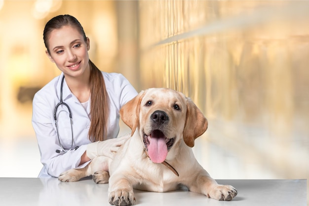 Bella giovane veterinaria con un cane