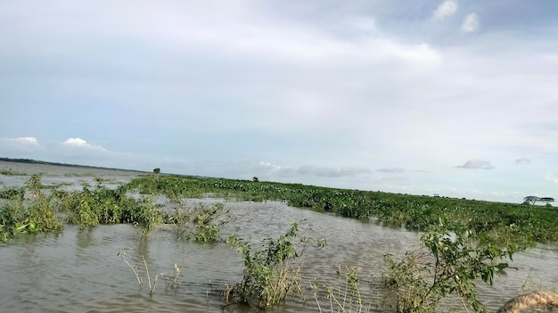 Bella gita in barca lungo il fiume