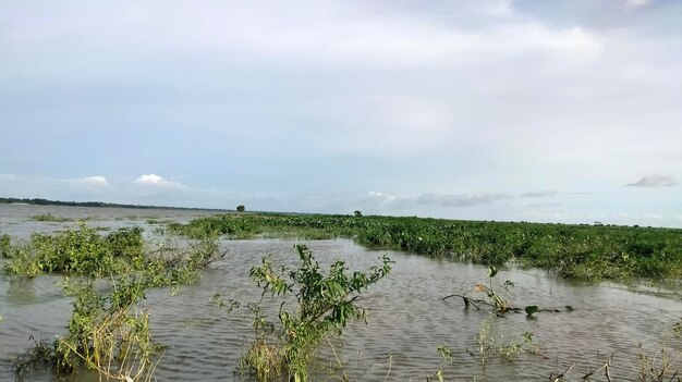 Bella gita in barca lungo il fiume