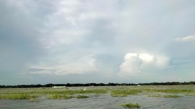 Bella gita in barca lungo il fiume