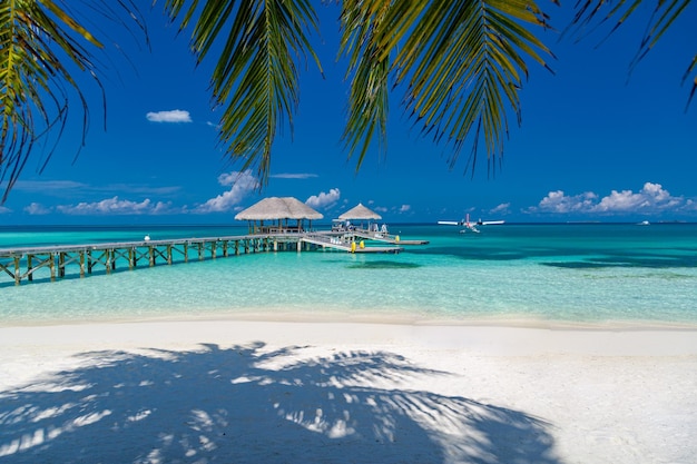 Bella isola tropicale delle Maldive con mare blu, cielo blu per la carta da parati della natura di viaggio. Vista idilliaca