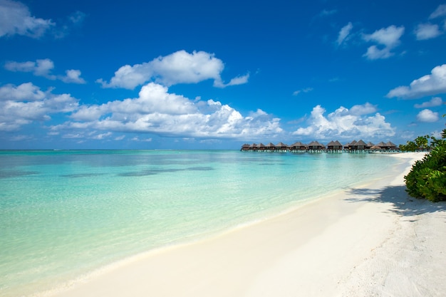 Bella isola tropicale delle Maldive con spiaggia. Mare con bungalow sull'acqua