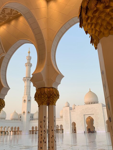 Bella luce - la grande moschea dello sceicco Zayed