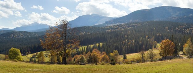 Bella mattina d'autunno vicino alla periferia del villaggio dei Carpazi (in controluce). Sette colpi punto immagine.