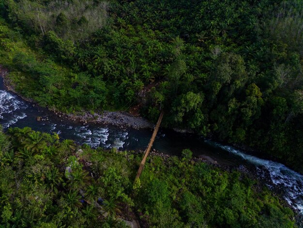 Bella mattina vista indonesia Panorama Abbellisca le risaie con colore di bellezza e cielo naturale l