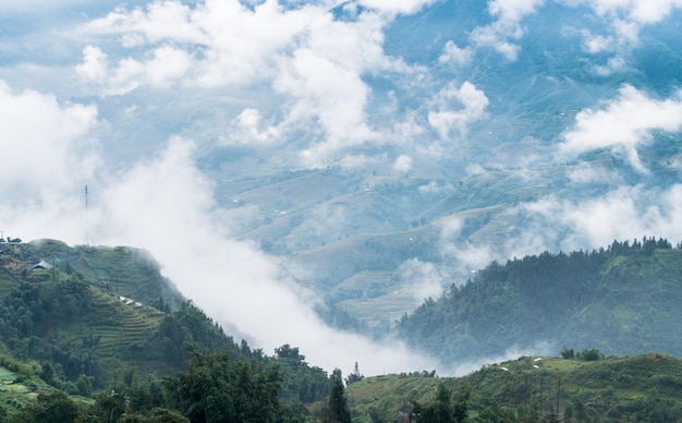 bella montagna con terrazze di riso e nebbia in mattinata vicino a Sa Pa, Vietnam - popolare turistico trekk