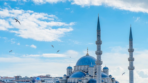 Bella moschea di Istanbul circondata da gabbiani.