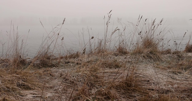 bella natura durante la nebbia con una visibilità molto scarsa sul fiume