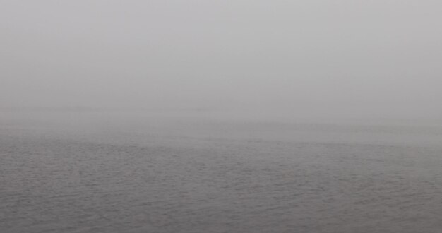 bella natura durante la nebbia con una visibilità molto scarsa sul fiume