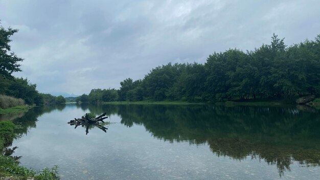 Bella natura fiumi e foreste