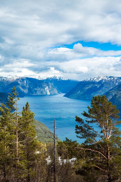 Bella natura Norvegia. Il Sognefjorden.
