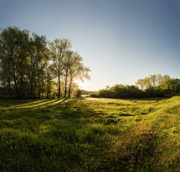 Bella natura paesaggio