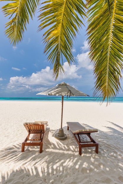 Bella natura panoramica. Spiaggia tropicale, sole estivo isola paesaggio palme lettini ombrellone