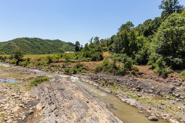 Bella natura tropicale, montagne della foresta e fiume