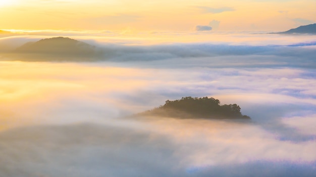 Bella nebbia al mattino