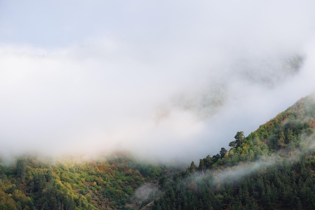 Bella nebbia nelle montagne del Caucaso