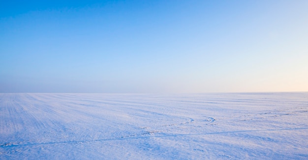 Bella neve bianca caduta con cielo blu sulla soleggiata giornata gelida, stagione invernale