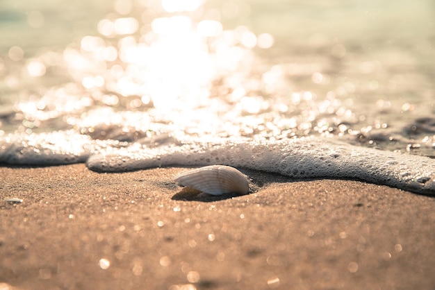 Bella onda del mare sulla spiaggia del mare tropicale nel filtro dell'annata di tempo di alba di mattina