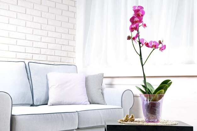 Bella orchidea lilla in vaso sul tavolo in camera