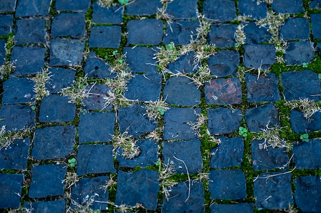 Bella pavimentazione in pietra ricoperta di vegetazione. Sfondo di strada di pietra