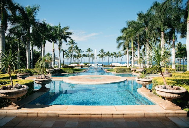 Bella piscina con palme alle Hawaii