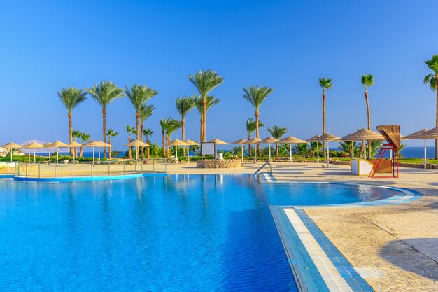 Bella piscina e palme in egitto