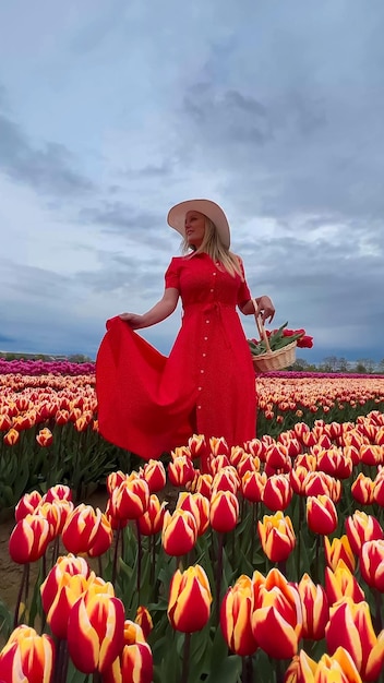 Bella ragazza bionda con un vestito rosso e un cappello di paglia bianco con un cesto di vimini su campi di tulipani colorati