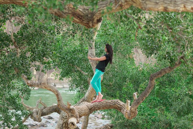 bella ragazza bruna in jeans su un ramo di albero